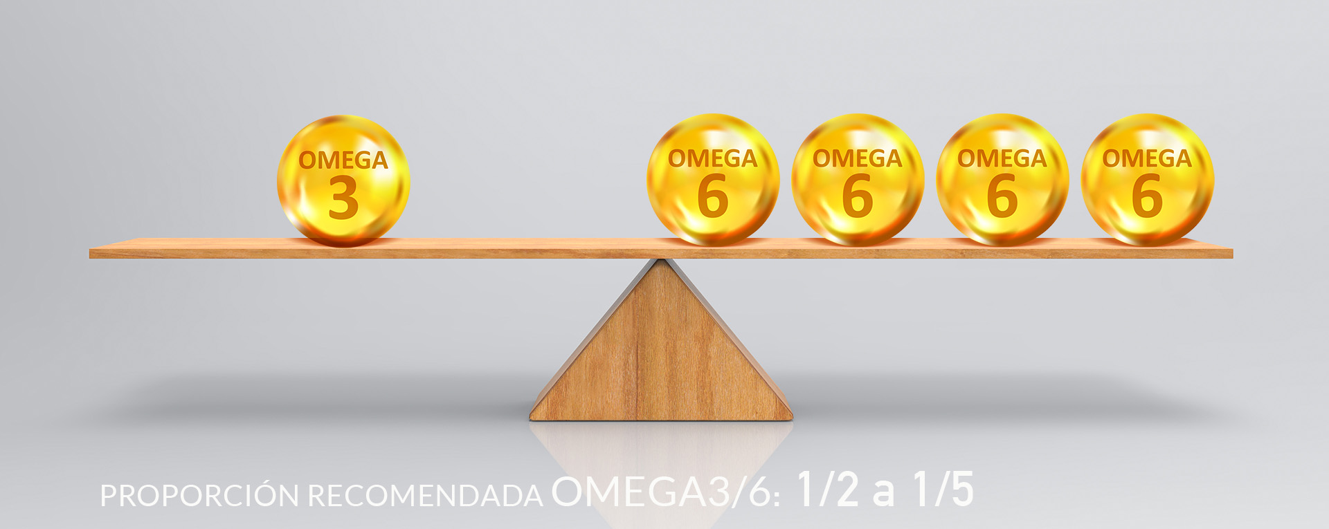 Omega 3 y Omega 6 los ácidos grasos esenciales