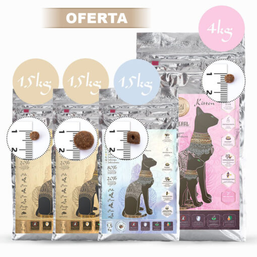 Pack prueba 4 piensos básicos para gatos KA Salud Integral