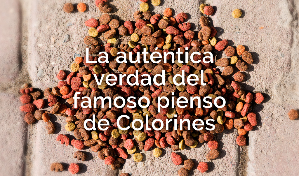 La auténtica verdad del famoso pienso de colorines para colonias felinas