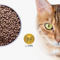 Pienso para Gatos