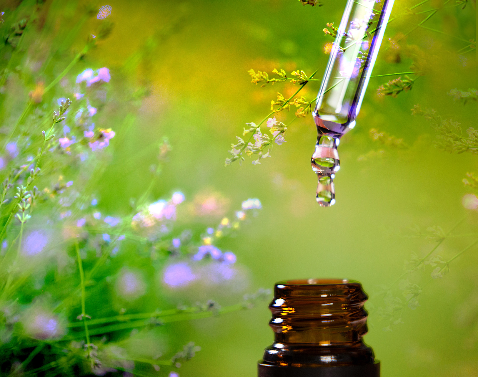 Aromaterapia: aceites esenciales para reforzar el sistema inmunitario de los animales