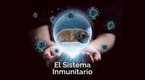 Sistema Inmunitario de los animales