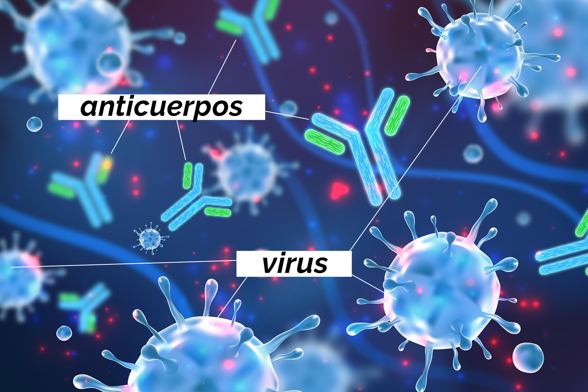 Como funciona el sistema inmunitario de los animales