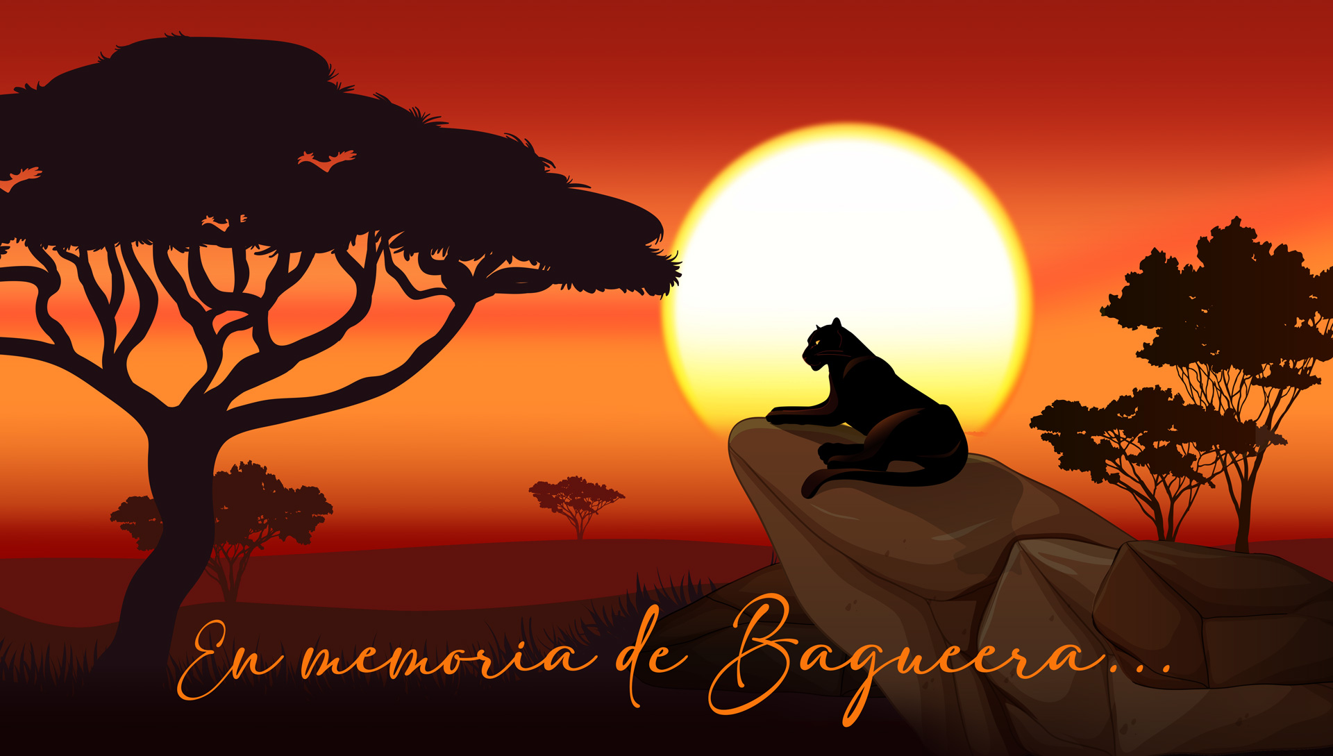 en memoria de Bagueera Comunidad Feral