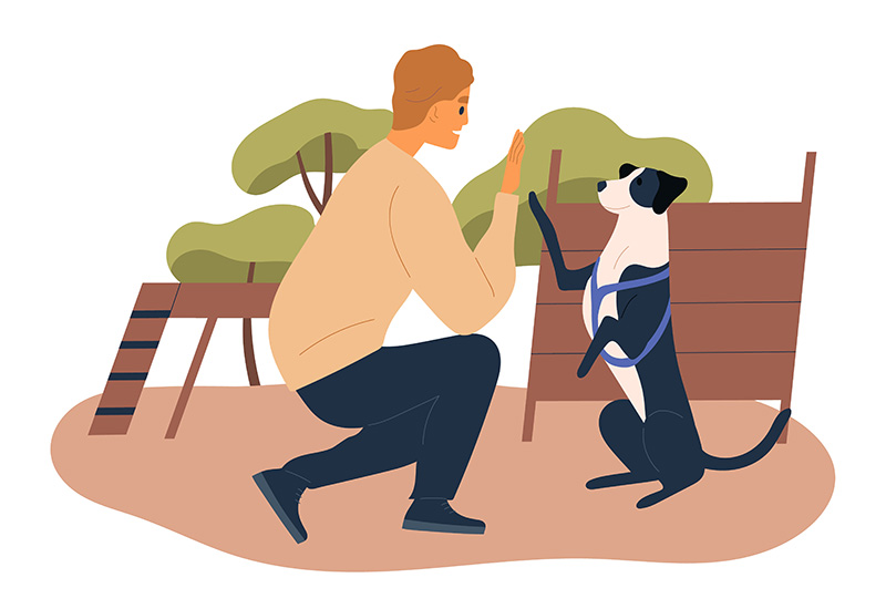 Agility te ayuda a reforzar el vínculo con tu perro