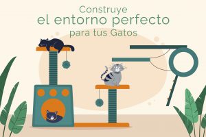 Cómo gatificar tu casa