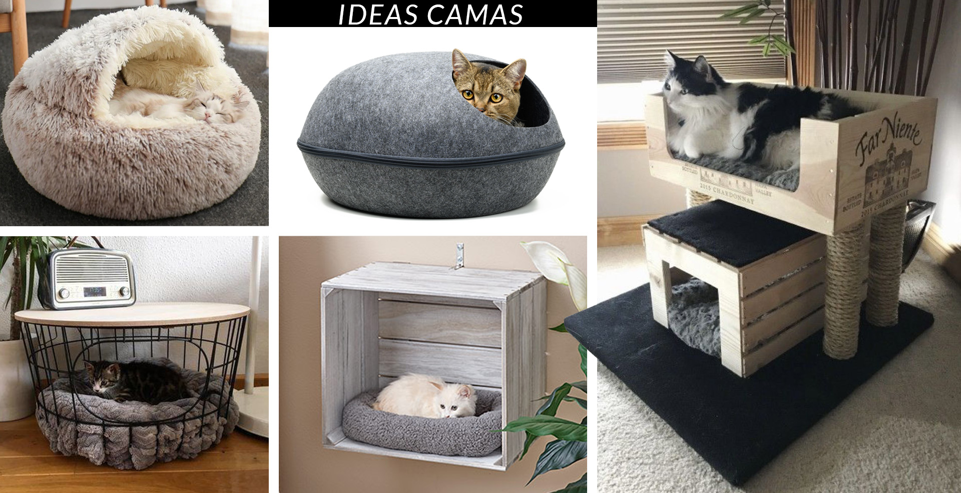 Zonas de descanso donde los gatos se sienten tranquilos y protegidos
