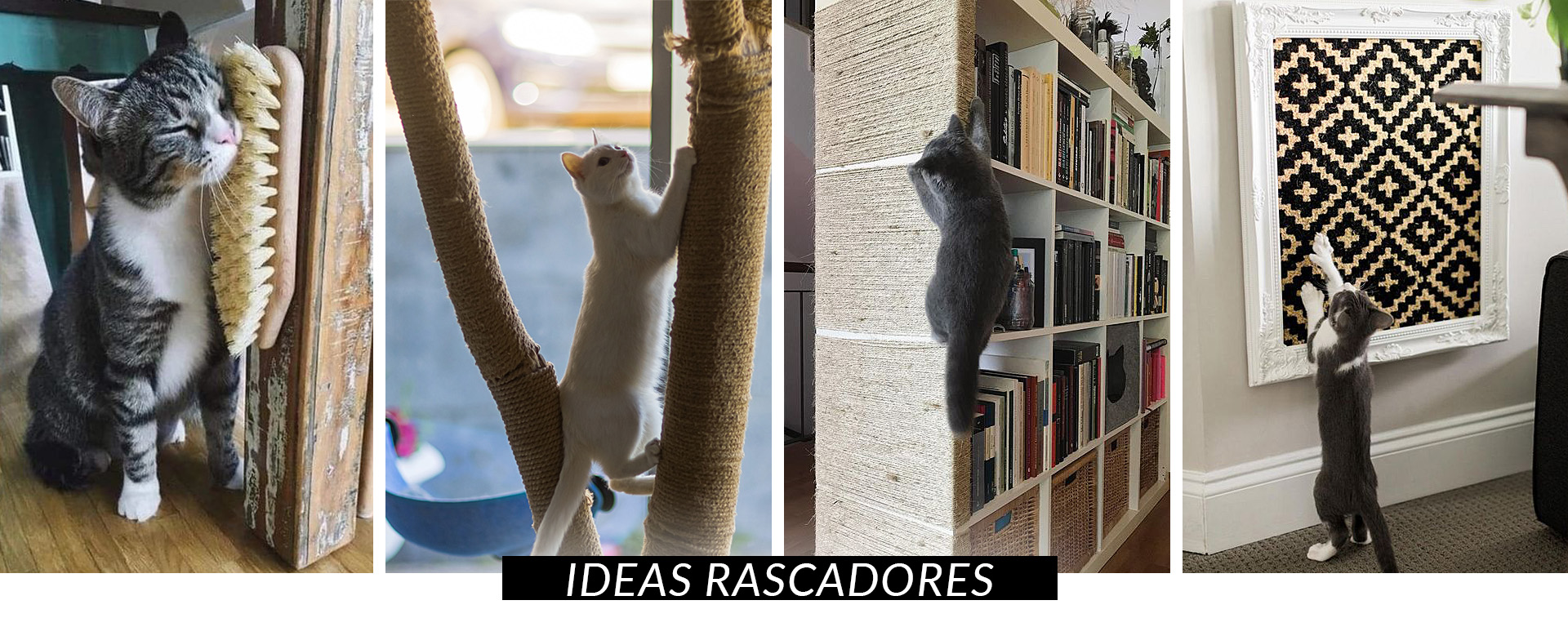 Rascadores, esenciales para gatificar tu casa