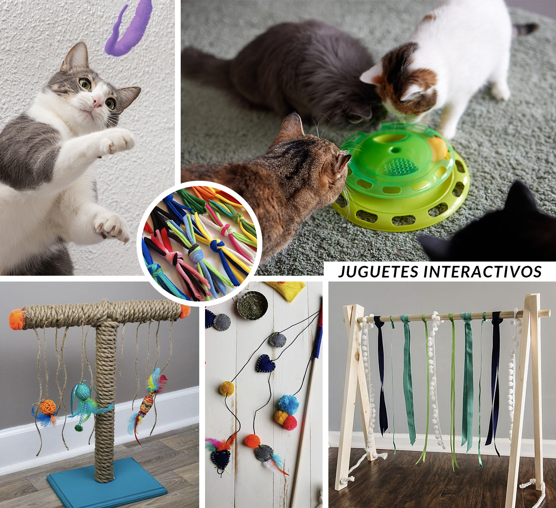 Juguetes interactivos para gatos