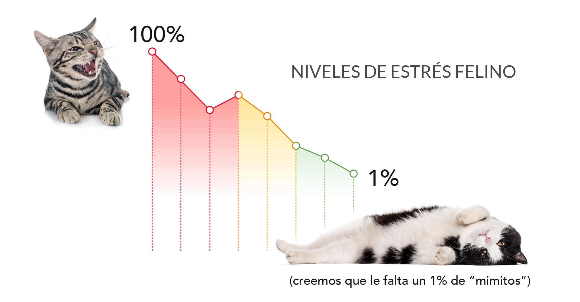niveles de estrés en los gatos