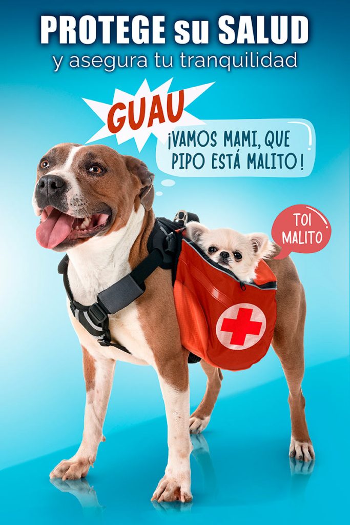seguro mascotas