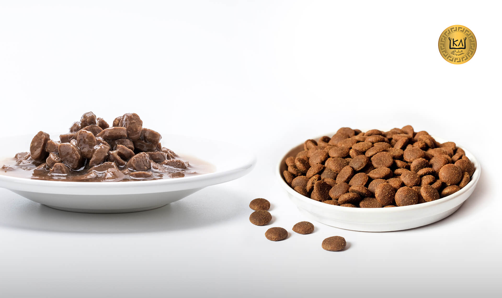 Comida Húmeda vs Comida Seca en la alimentación de gatos y perros
