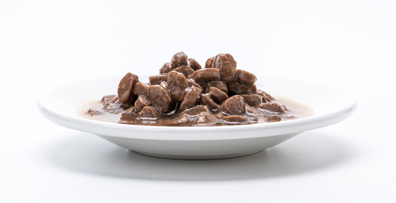 Alimentación Húmeda VS Seca. Comida húmeda.