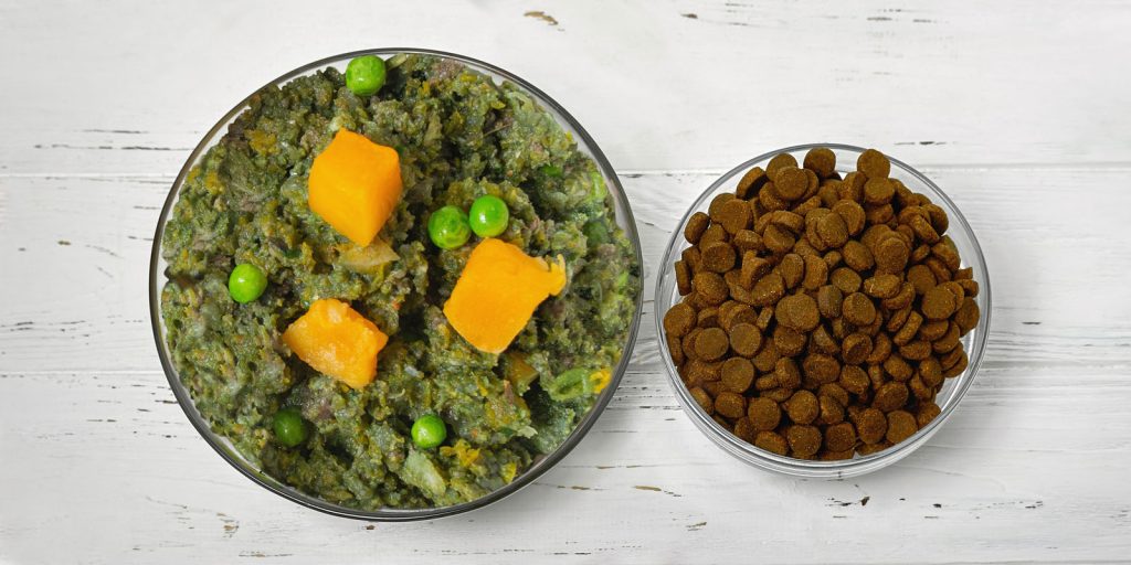 Alimentación en Medicina preventiva para los animales