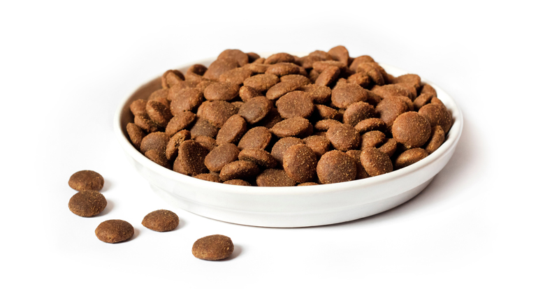 Alimentación Húmeda VS Seca. Comida seca.