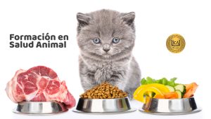 Formación en Salud Animal con la Escuela El Nahual